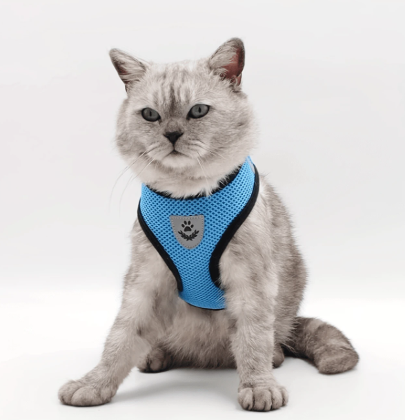 Laisse pour Chat / Chien rose,noir,rouge