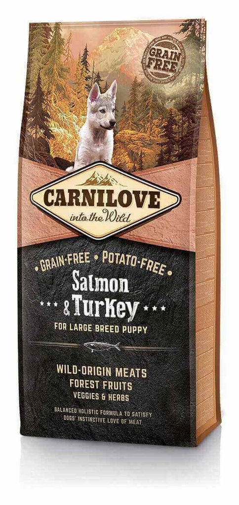 CARNILOVE GRAND CHIEN SAUMON & DINDE 12 Kg