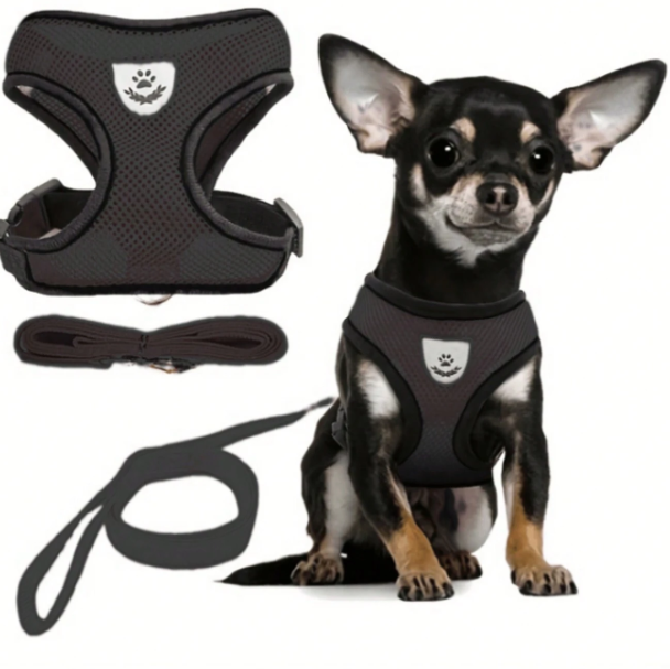 Laisse pour Chat / Chien rose,noir,rouge