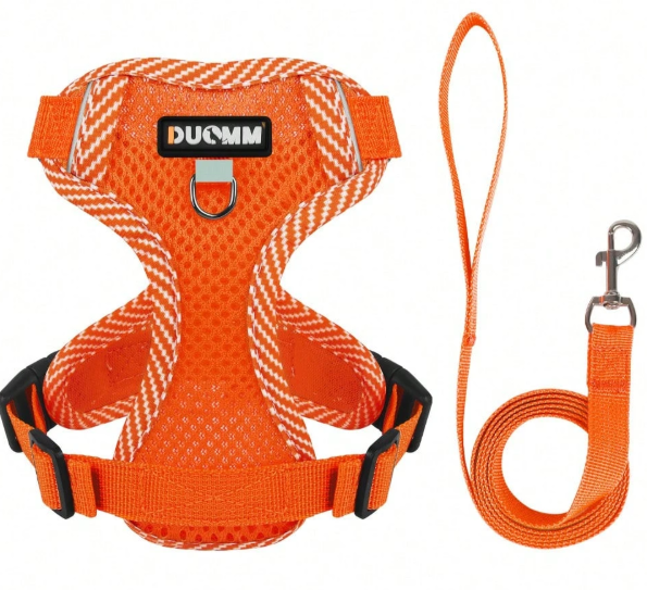 Harmais Chien Taille M orange,jaune,vert