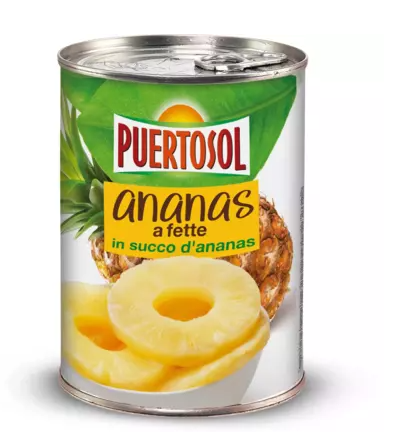 PUERTOSOL Ananas en tranches 565 g
