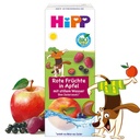 HiPP - HiPP Organic Red Berries with Apple 200 ml (for children 1 year and older)