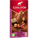 Cote D'Or Raisins Noisettes - Lait 180gr